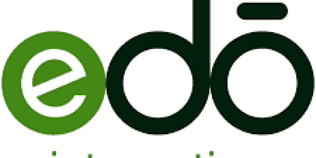 edo-Interactive-Logo